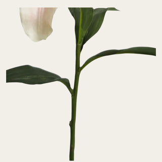 Detailed view of cream blush lily lilium faux stem and green foliage with wired flexible construction, ideal for shaping petite vase, narrow neck, everyday, and standard opening floral arrangements.