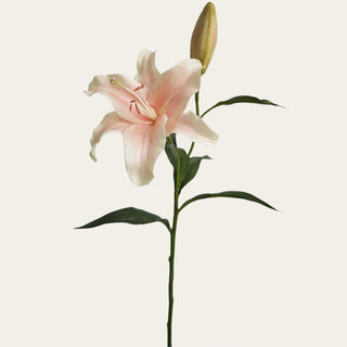 Cream blush lily lilium stem with open bloom, bud, faux foliage, and wired shapeable stem, used to add soft focal flowers and graceful movement to spring, summer, and fall arrangements.