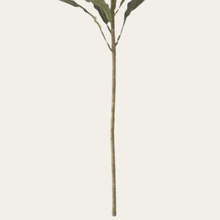 Close-up of the cream stock flower's long wired stem and branching foliage, showing its flexible, shapeable construction for positioning in floral arrangements.