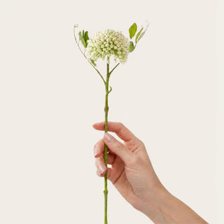 Maddie’s hand holding the cream and green real touch sedum stem to show its scale, soft cream bloom tips, fresh green undertones, natural stem detail, and realistic in-person texture.
