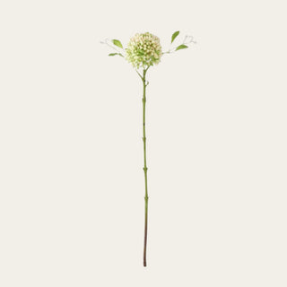 Cream and Green Real Touch Sedum Stem featuring realistic clustered buds with soft cream and green coloring, natural chalk-like texture, and flexible stem construction. This versatile texture and filler stem pairs beautifully with hydrangeas, peonies, roses, gladiolus, and seasonal greenery while adding fullness, movement, and layered dimension to spring, summer, fall, winter, and holiday floral arrangements.