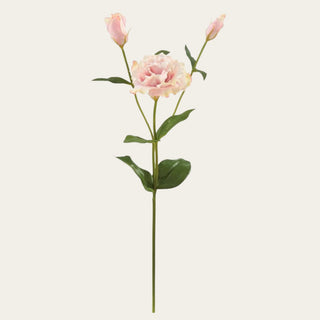 22-inch Creamy Blush Real Touch Lisianthus Stem featuring one open bloom and delicate buds with soft blush and ivory coloring, perfect for adding movement, softness, and romantic texture to floral arrangements throughout spring, summer, fall, and holiday decorating.