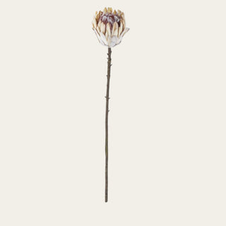 Single creamy heirloom mauve flocked king protea faux floral stem with sculptural layered petals, soft matte texture, and a lightly wired faux stem for elevated floral arrangement styling.