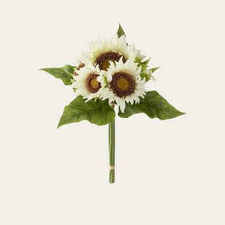 14-inch Dried Creamy White Sunflower Bundle featuring six faux sunflower stems with creamy white petals and warm brown centers, perfect for pairing with eucalyptus, globe amaranth, chamelaucium, and seasonal greenery. The neutral coloring allows this bundle to transition beautifully through every season, from bright summer arrangements to cozy fall displays and elegant winter styling.