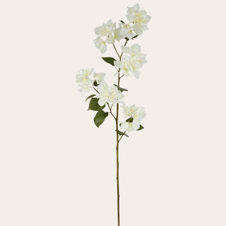 43-inch creamy white faux bougainvillea stem with airy branching blooms, soft green foliage, and flexible wired stem for relaxed garden-inspired floral arrangements and year-round styling.