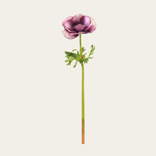 Eggplant Real Touch Anemone Stem with rich purple petals that works beautifully in fall, winter, and spring arrangements; pairs especially well with white peonies, cream dahlias, hydrangeas, and eucalyptus because the deeper bloom color creates contrast, adds visual depth, and helps lighter florals stand out within professionally styled arrangements.