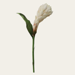 Faux Cream Apricot Ginger Stem with layered bloom, green leaf, and tall stem, designed as an anchor and focal flower for standard vases, narrow-neck vessels, tropical greenery, orchids, calla leaves, and spring, summer, and fall arrangements.