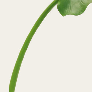 Close-up of the Faux Green Calla Leaf bendable green stem, designed for shaping height, curve, and movement in tall vase arrangements, narrow-neck styling, and spring, summer, and fall faux floral designs.
