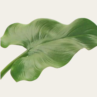 Close-up of a Faux Green Calla Leaf showing broad curved leaf shape, natural-looking green color, and detailed veining for sculptural faux greenery arrangements with calla lilies, hydrangeas, protea, orchids, and seasonal stems.