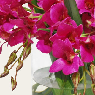 Close up view of the Fuchsia Conservatory faux floral premade arrangement shown in a clear glass vase with vivid fuchsia orchid-style blooms, green leaves, and arched faux stems for coffee table, kitchen island, entry console, sideboard, and dining table styling.