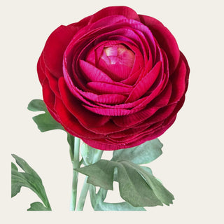 Close-up of Fuchsia True Bloom Ranunculus petals showing realistic layering and saturated coloration; works beautifully in spring through fall arrangements because the rich fuchsia tone adds focal interest while pairing naturally with softer peaches, creams, whites, and blush florals.