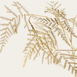 Close-up of gilded artificial fern fronds made from plastic with fine feathery leaflets, intricate branching texture and a metallic gold finish.
