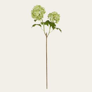 Single 21.5-inch green snowball flower stem with rounded faux bloom clusters, fresh green tones, and flexible wired stem for year-round floral arrangements because the soft green color blends naturally with both seasonal florals and transitional greenery palettes.