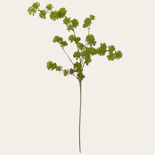 Green faux succulent spray with clustered leaves, branching texture, and a bendable stem, ideal for year-round floral arrangements because green filler supports spring pastels, summer florals, fall neutrals, winter whites, and holiday styling.