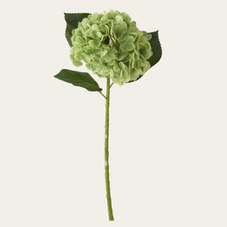 Green True Bloom real touch hydrangea stem with a full rounded bloom, faux green leaves, and a faux stem, ideal for year-round floral arrangements because its fresh green color pairs beautifully with spring pastels, summer whites, fall neutrals, winter greenery, and holiday florals.