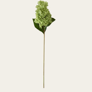Green True Bloom real touch cone hydrangea stem with an elongated layered bloom, faux green leaves, and a gently flexible stem shown, ideal for spring, summer, and fall floral arrangements because its soft green color adds fresh structure to warm-weather designs and layers beautifully with ivory, greenery, and warm transitional florals.
