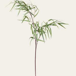 44-inch faux weeping eucalyptus branch with elongated green leaves, cascading wired branches, and airy organic movement for year-round floral arrangements and natural greenery styling.
