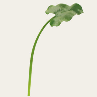 Faux Green Calla Leaf stem with a long bendable green stem and broad sculptural leaf, designed for tall vase styling, narrow-neck vessels, wide opening arrangements, and spring, summer, and fall floral designs.