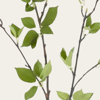 Detailed close-up of green faux leaf branch showing soft leaf texture and natural branch movement, ideal for adding airy structure to tall vase arrangements with roses, tulips, snowball stems, hydrangeas, and early fall botanicals.