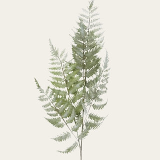 Close-up of green real touch ostrich fern fronds with soft botanical texture, designed to pair with hellebores, hoary willow, green leaf branches, lilies, and anthurium stems for sculptural and organic floral styling.
