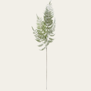 Green real touch ostrich fern stem shown in full view with soft feathery fronds and a wired shapeable stem, used to add greenery, texture, and organic movement to year-round and holiday floral arrangements.