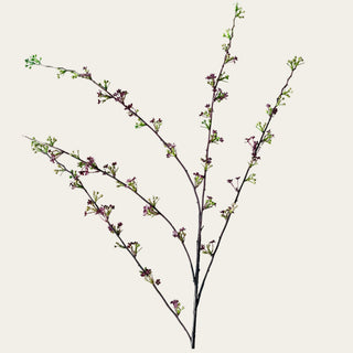 Close-up of Hoary Willow Spray branching stems featuring plum blossoms and green budding details; works beautifully with focal flowers such as peonies, roses, and dahlias because the airy branching structure creates texture, fills visual gaps, and adds organic movement throughout seasonal arrangements.