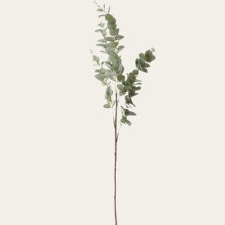 Light Green Gunnii Eucalyptus Stem featuring soft rounded faux eucalyptus leaves on a tall 38-inch wired branch, ideal for adding height, greenery, texture, and natural movement to floral arrangements, tall vases, and year-round home décor styling.