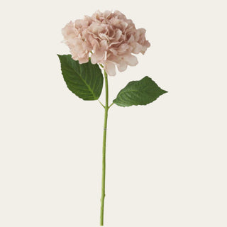 Light peach real touch hydrangea spray with a full rounded bloom, faux green leaves, and a faux wired stem, ideal for spring, summer, and early fall floral arrangements because its warm peach tone pairs beautifully with ivory, champagne, greenery, and soft transitional florals.