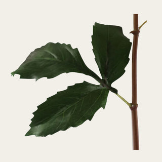 Close-up detail of foliage and stem structure on the Ombre Pink True Bloom Real Touch Dahlia Stem showing realistic leaves and wired floral construction for elevated floral styling.