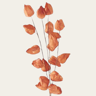 Close-up of orange faux dried Chinese lantern stems highlighting the delicate lantern-shaped pods, airy branching, and preserved botanical appearance for seasonal floral styling.