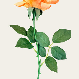 Peach Bellini True Bloom Duchess Rose stem and foliage detail used in garden-inspired floral arrangements; pairs naturally with peonies, hydrangeas, sedum, and eucalyptus because the realistic greenery helps create fullness, movement, and professional-looking floral designs.