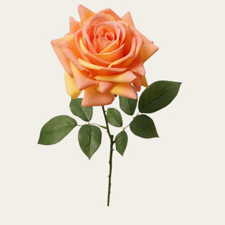 Peach Bellini True Bloom Real Touch Duchess Rose Stem with warm peach and apricot tones that works beautifully in spring, summer, and fall arrangements; pairs especially well with white peonies, hydrangeas, cream sedum, and seeded eucalyptus because the warm bloom color adds softness while creating natural contrast against lighter florals and greenery.