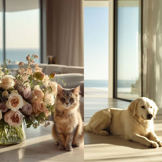 Two images side by side: a cat sitting next to a bouquet of flowers, and a dog lying on the floor.