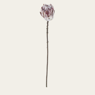 Single purple flocked king protea faux floral stem with sculptural layered petals, muted mauve tones, and a textured wired stem for modern floral arrangement styling.