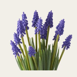Close-up of purple real touch grape hyacinth blooms showing the soft rubbery texture, clustered bloom shape, and flexible floral surface.
