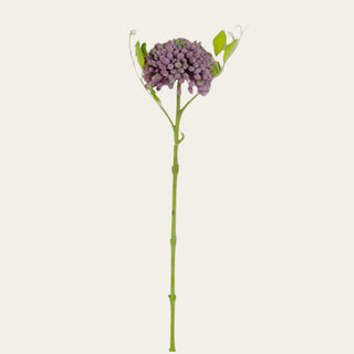 Purple Real Touch Sedum Stem featuring realistic clustered buds with a natural chalk-like finish and flexible stem, ideal for adding texture, movement, and layered dimension to arrangements with hydrangeas, peonies, roses, and seasonal greenery throughout spring, summer, fall, and winter decorating.
