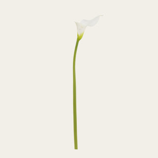A single white artificial real touch 29 inch calla lily flower with a long green stem, photographed against a solid off-white background.
