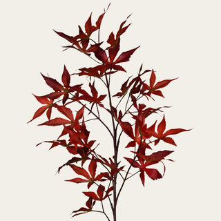 Close-up of red artificial Japanese maple leaves with pointed edges, deep burgundy color variation and fine branching for layered fall floral arrangements.