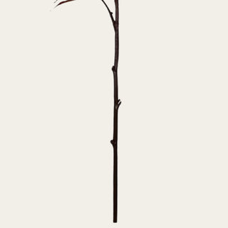 Close-up of the dark brown wired stem on the 36-inch Red Japanese Maple Leaf Branch, designed to be flexible and shapeable for fall vase arrangements.