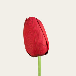 Close-up of rich red True Bloom Real Touch tulip petals showing natural veining, tonal variation, and realistic shaping.