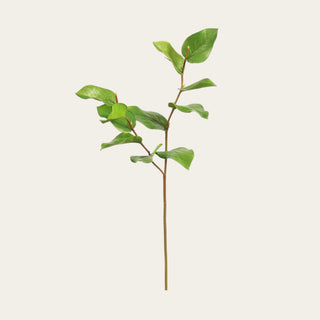 25-inch faux green salal leaf stem featuring realistic foliage and flexible branching structure, ideal for adding fullness, texture, movement, and natural greenery to floral arrangements throughout every season.