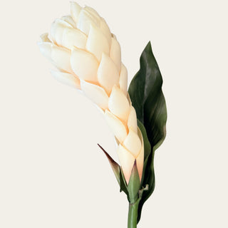 Faux Cream Apricot Ginger Stem shown from the side with layered cream-apricot bloom and green leaf detail, ideal for adding height, structure, and focal interest to spring, summer, and fall vase arrangements.