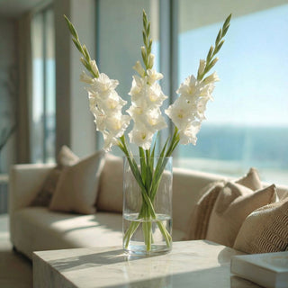 White gladiolus flowers in a clear vase on a coffee table with a blurred background