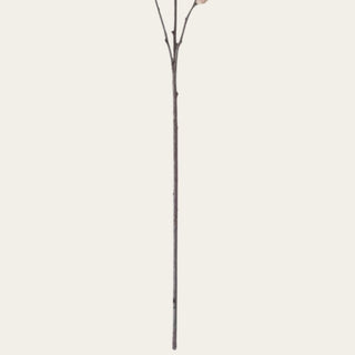 Detailed view of tan velvet willow stem showing the slim faux branch, flexible wired construction, and soft velvet buds used for shaping and adding subtle texture.