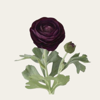 Zoomed in view of the true bloom real touch dark plum ranunculus stem 