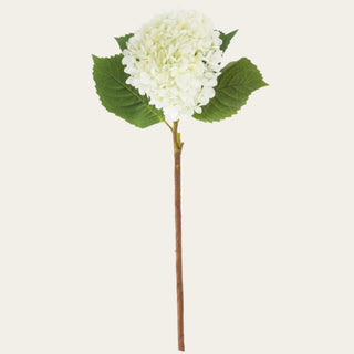 White dried faux hydrangea stem with a rounded bloom, green faux leaves, and a traditional faux stem, ideal for year-round floral arrangements because its soft white color and dried-style texture pair beautifully with spring greenery, summer neutrals, fall warm tones, winter whites, and holiday florals.