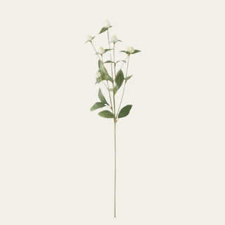 28-inch White Globe Amaranth Spray stem featuring branching white bloom clusters and airy movement, designed to pair beautifully with roses, delphiniums, greenery, bougainvillea stems, and seasonal florals while adding texture and fullness throughout the year.
