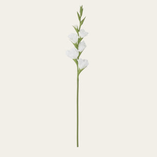 Single white True Bloom gladiolus stem with soft real touch blooms and green stem