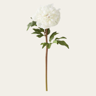 21.5-inch White True Bloom Real Touch Peony Stem featuring a lush layered bloom, flexible wired stem, and realistic petal texture that pairs beautifully with roses, delphiniums, greenery, and romantic floral arrangements year-round.