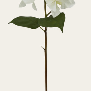 Detailed view of white faux bougainvillea stem with green leaves and flexible wired construction, ideal for shaping minimalist arrangements, bridal florals, and white holiday styling.
